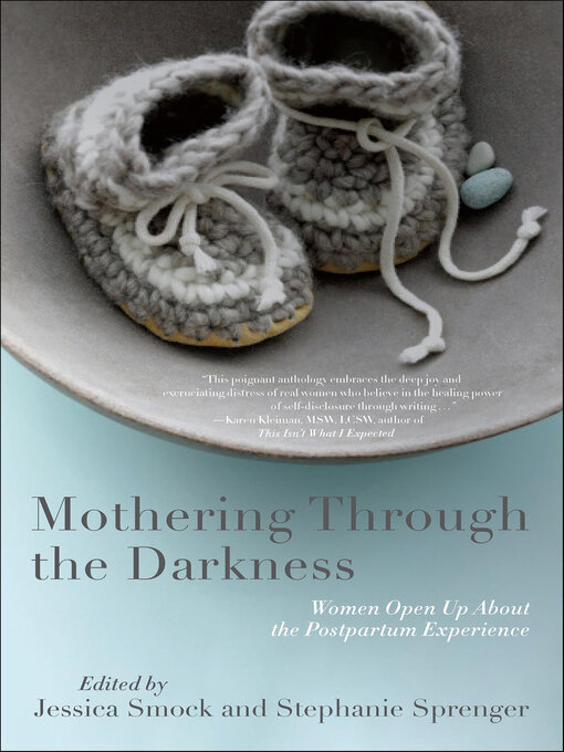 Title details for Mothering Through the Darkness by Stephanie Sprenger - Available